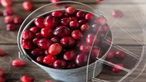 Cranberry Hard Round Red Fruits Wallpaper