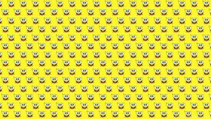 Create Breathtaking Photos With A Vsco Laptop Wallpaper