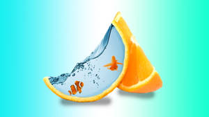 Creative Orange Slices Wallpaper