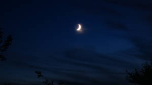 Crescent Moon In Navy Blue Sky Wallpaper