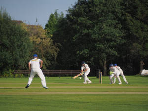 Cricket Teams In Motion Wallpaper