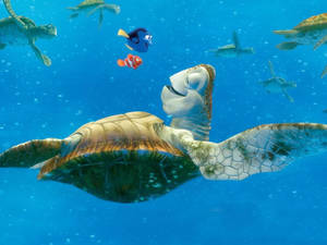 Crush Sea Turtle Wallpaper