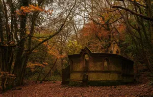 Curl Up And Enjoy The Cozy Fall Weather Wallpaper