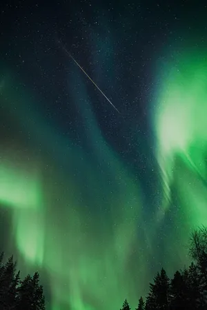 Curtain Of Magnificent Northern Lights Wallpaper
