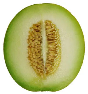 Cut In Half Honeydew Melon Wallpaper