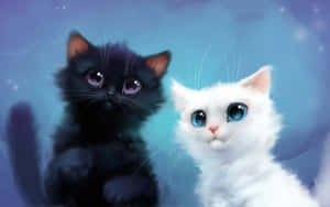Cute Animals Cartoon White & Black Kitten Wallpaper