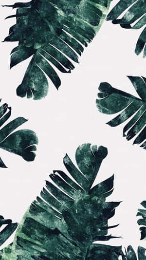 Cute Banana Leaves Drawing Wallpaper