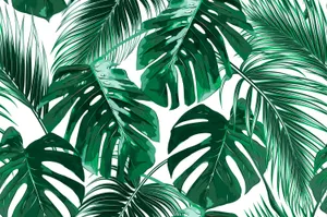 Cute Big Palm Tree Leaves Wallpaper