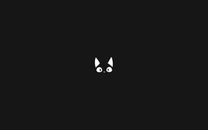 Cute Black And White Jiji Wallpaper