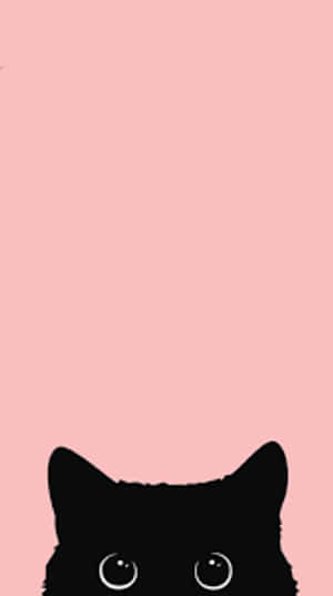 Cute Black Cat For Girls Wallpaper