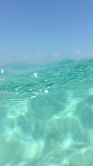 Cute Blue Iphone Screensaver Wallpaper