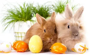 Cute Bunny Babies For Easter Wallpaper