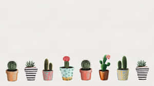 Cute Cactus Little Pots Wallpaper