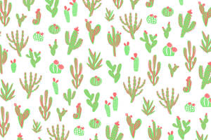 Cute Cactus Pattern With Bright Colors Wallpaper