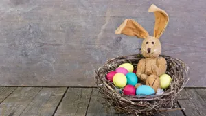 Cute Easter Bunny Wallpaper