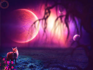 Cute Fox Under The Moon Wallpaper