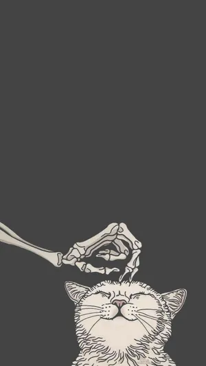 Cute Gothic Skeleton Petting Cat Wallpaper