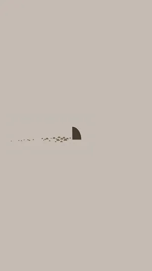 Cute Grey Shark Fin Wallpaper