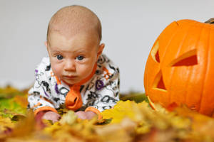 Cute Halloween Baby Wallpaper