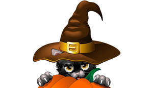 Cute Halloween Cat Over Pumpkin Wallpaper