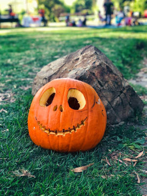 Cute Jack-o'-lantern Pumpkin Wallpaper