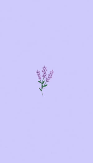 Cute Light Purple Lilac Wallpaper