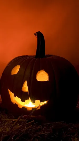 Cute Lighted Halloween Pumpkin Iphone Wallpaper