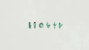 Cute Minimalist Cactus Wallpaper