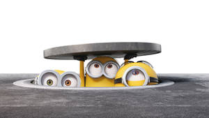 Cute Minion On Manhole Wallpaper