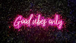Cute Neon Pink Phrase Sign Wallpaper