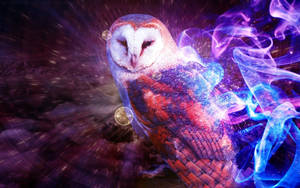 Cute Owl Galaxy Art Wallpaper