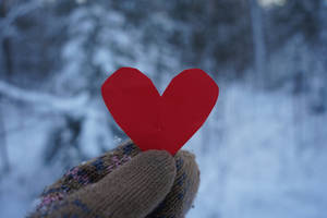 Cute Paper Heart During Winter Wallpaper