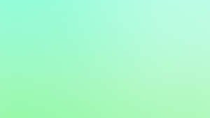 Cute Pastel Green Clean Wallpaper