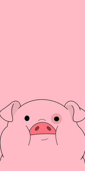 Cute Pig Gravity Falls Wallpaper