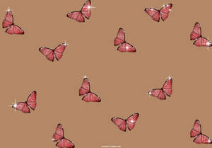 Cute Pink Butterfly On Brown Background Wallpaper