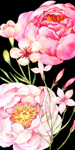 Cute Pink Flower Blooms Painting Wallpaper