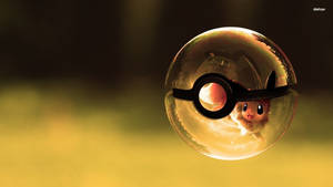 Cute Pokemon Pokeball Wallpaper