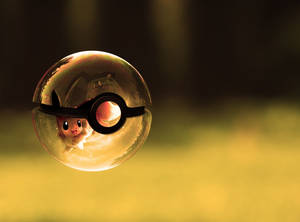 Cute Pokemon Pokeball Wallpaper