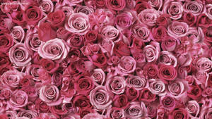 Cute Rose Gold Flowers Wallpaper