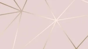 Cute Rose Gold Wall Background Wallpaper