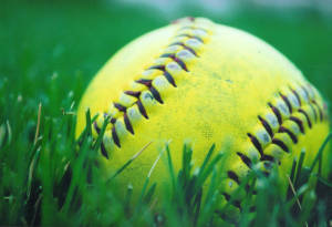 Cute Softball On The Grass Wallpaper