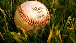 Cute Softball Wilson Brand Wallpaper