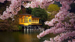 Cute Spring Lake House Wallpaper