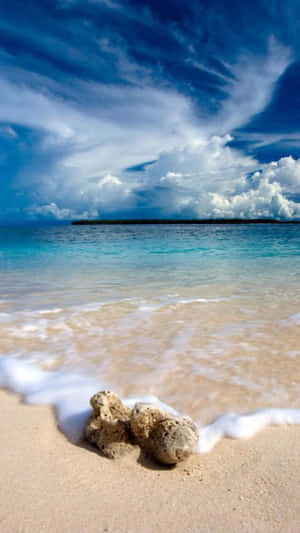 Cute Summer Beach Rock Wallpaper