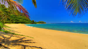 Cute Summer's Day Beach Wallpaper