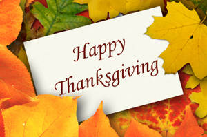 Cute Thanksgiving Dry Leaves Wallpaper