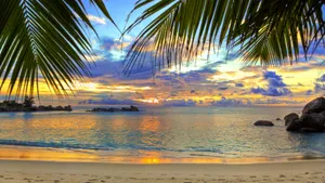 Cute Tropical Island Sunset Wallpaper