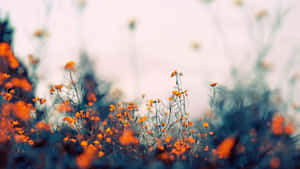 Cute Vintage Orange Flowers Wallpaper