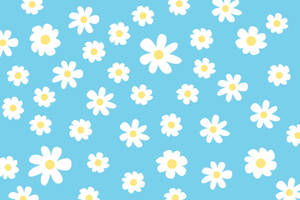 Cute White Daisy Art Wallpaper