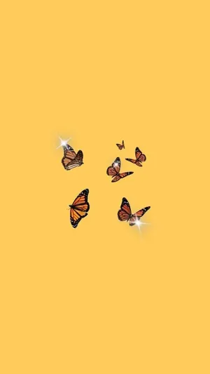 Cute Yellow Black Orange Butterflies Wallpaper